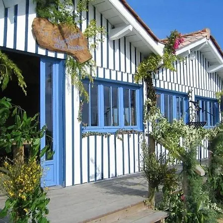 Maison Mangueli - Bassin D 'arcachon Ferienhaus Audenge